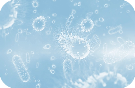 Microscopic blue bacteria