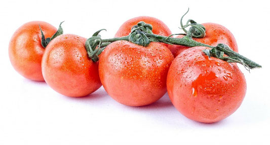 Like fresh tomatoes, maintain the quality of your products in an economical, effective way with Sanistar.