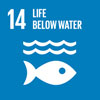 SDG number 14, life below water